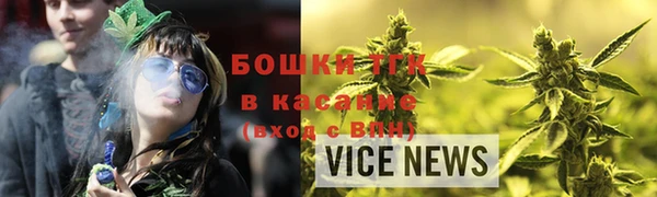 прущие грибы Покров