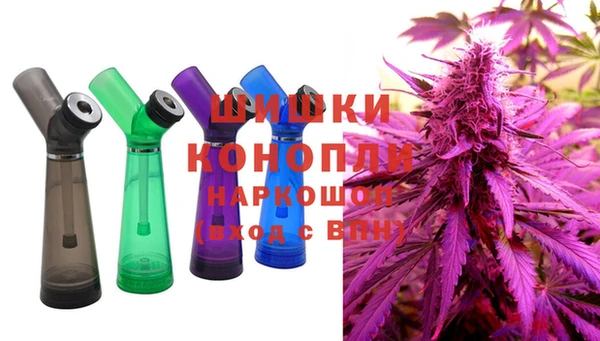 ГАЛЛЮЦИНОГЕННЫЕ ГРИБЫ Арсеньев