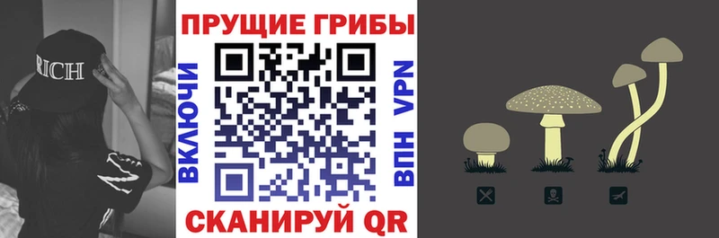 Псилоцибиновые грибы ЛСД  цена наркотик  Усть-Джегута 